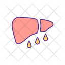 Liver Disease Fatty Liver Liver Icon