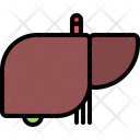 Liver Gallbladder Organ Healthcare Icon