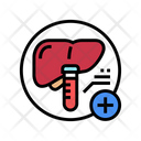 Liver Test Liver Function Icon