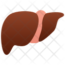 Livers Icon