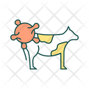 Livestock Disease Icon