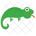 Lizard Reptile Animal Icon