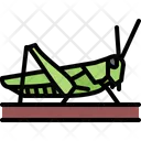Locust Icon - Animal Colored Outline Icons | IconScout