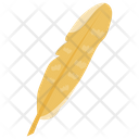 Long Feather Feather Plumage Icon