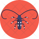 Longhorn Beetle Beetle Bug Icon