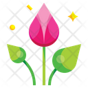 Lotus Icon