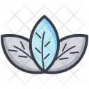 Lotus Lily Flower Icon