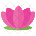 Lotus Icon