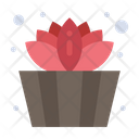 Lotus Bucket Icon