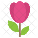 Bud Lily Spring Icon