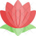 Lotus Flower Flower Lotus Icon