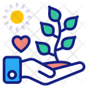 Love plants  Icon