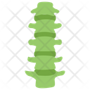 Lumbar  Icon