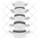 Lumbar Spine  Icon