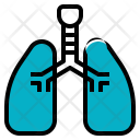 Lung Respiration Breath Icon