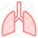 Body Organ Lung Icon