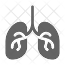 Lung Organ Respiratory Icon