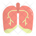 Lung Respiratory Pulmonary Icon