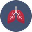 Lungs Organ Human Icon