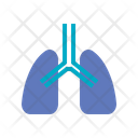 Respiratory Organ Breath Icon
