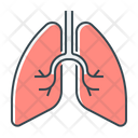 Lungs Organ Lung Icon