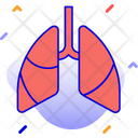 Lungs Infected Lungs Respiratory Problem Icon