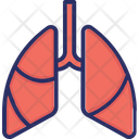 Lungs Infected Lungs Respiratory Problem Icon