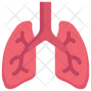 Anatomy Organ Biology Icon