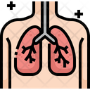 Lungs Lung Organ Icon