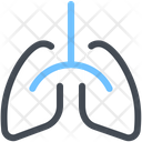 Lungs Human Breathe Icon