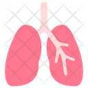 Respiratory System Lungs People Icon