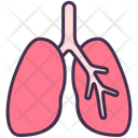 Respiratory System Lungs Human Icon
