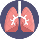 Human Anatomy Lungs Organ Icon