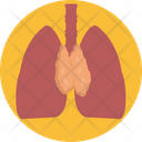 Human Anatomy Lungs Cholesterol Icon