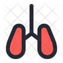 Lungs Bronchodilator Puffer Icon