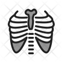 Lungs Scan Report Icon