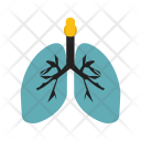 Lungs Bodypart Anatomy Icon