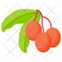 Lychee Lychee Fruit Berry Fruit Icon