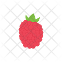 Lychee Redmulberry Fruit Icon