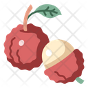 Fruit Vegan Lychee Icon