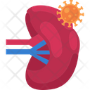 Lymph Lymph Virus Virus Icon