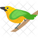Bird Feather Creature Macaw Icon