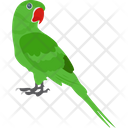 Bird Feather Creature Macaw Icon