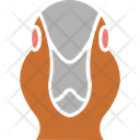 Parrot Head Icon