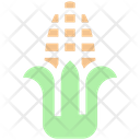 Maize Sweet Corn Corn Icon