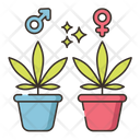 Male And Female Icon