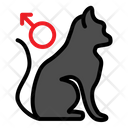 Cat Gender Pet Shop Icon