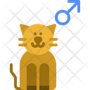 Male Cat Icon