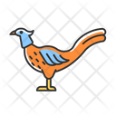 Male Pheasant Cock Icon