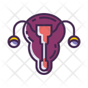 Male Reproductive Icon